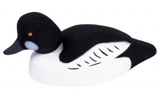 gogol drake magnum